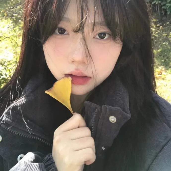 木偶新知
